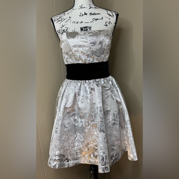 Betsey Johnson Silver Jacquard Floral Puff Tulle Petticoats Mini Dress Size 6 - Picture 1 of 10